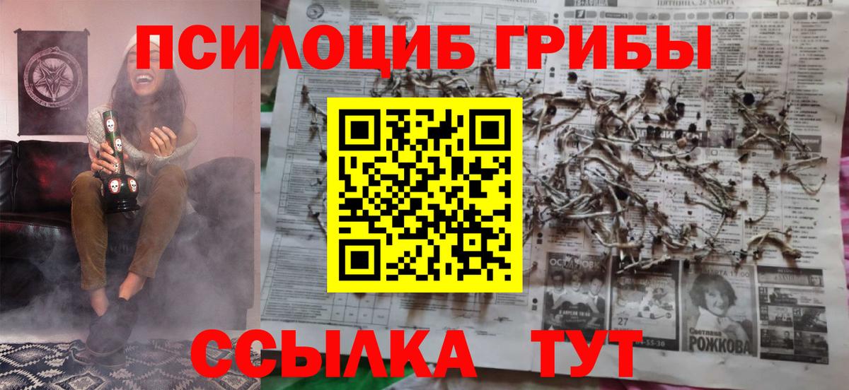 Ленинск-Кузнецкий  Галлюциногенные грибы Cubensis  Вход с VPN  Псилоцибиновые грибы мицелий 